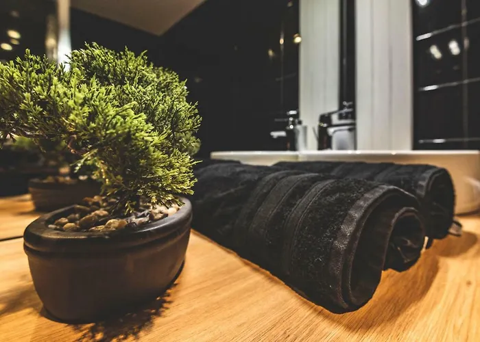 Lejlighed Hypercentre 200m Cathedrale/train Station + Private Parking* *